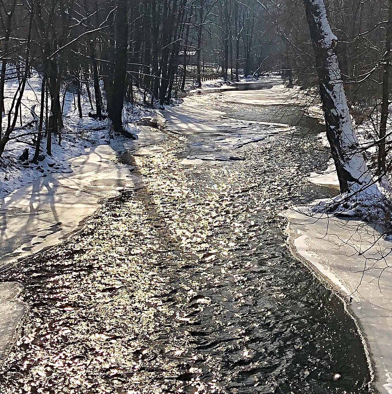 february, chester county | chestercountyramblings